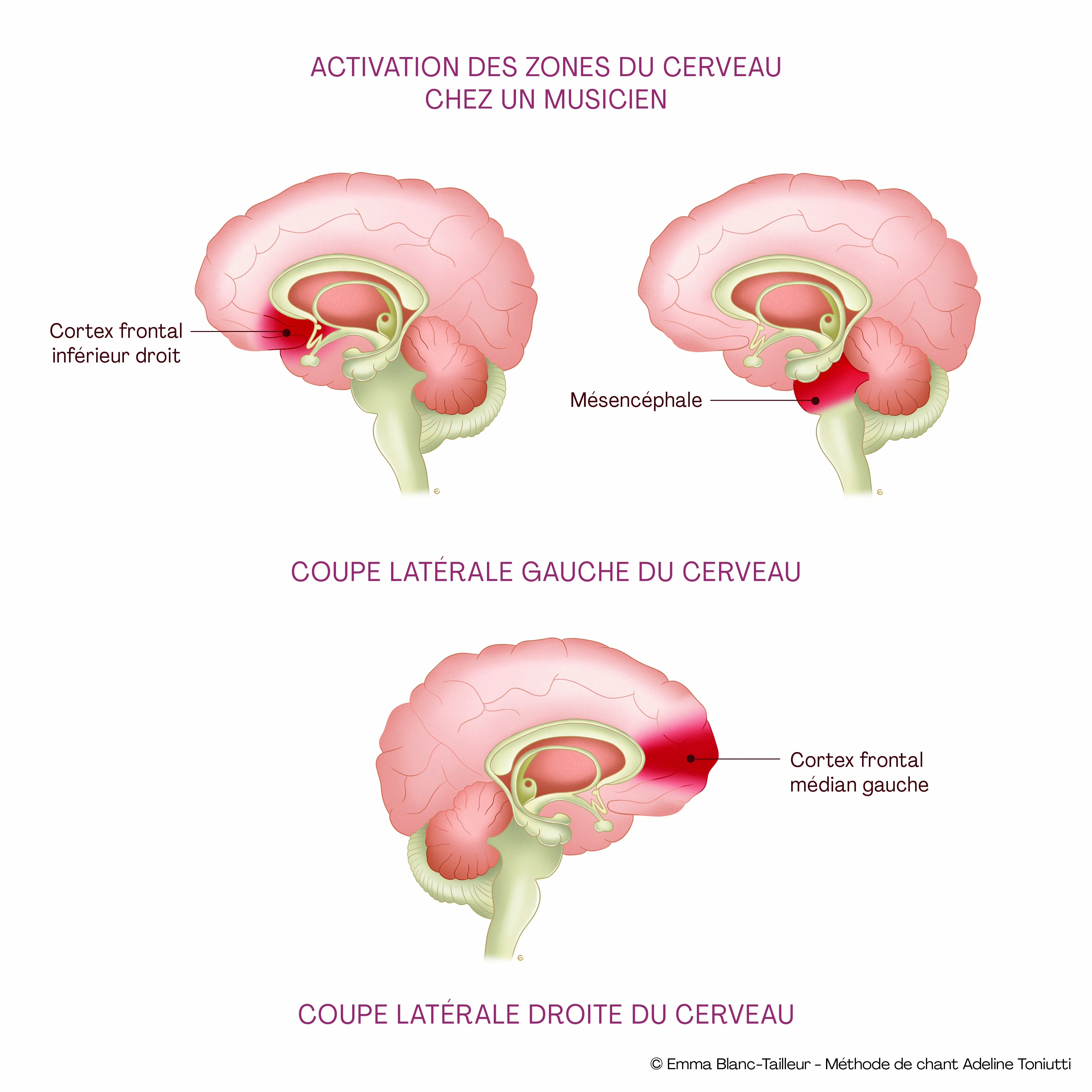 Brain activation and stimulation