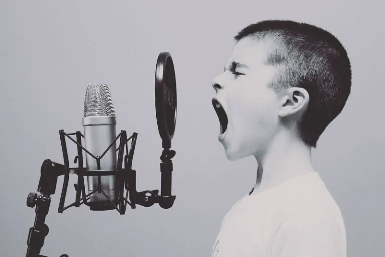 Maternal voice and language development in young children